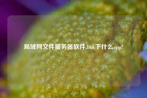 局域网文件服务器软件,link下什么app?