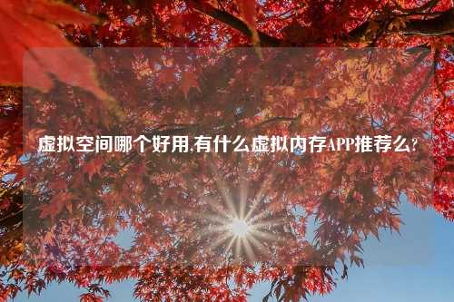 虚拟空间哪个好用,有什么虚拟内存APP推荐么?