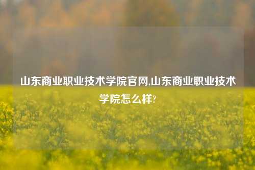 山东商业职业技术学院官网,山东商业职业技术学院怎么样?