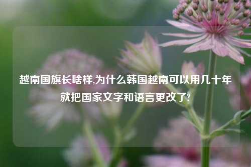 越南国旗长啥样,为什么韩国越南可以用几十年就把国家文字和语言更改了?