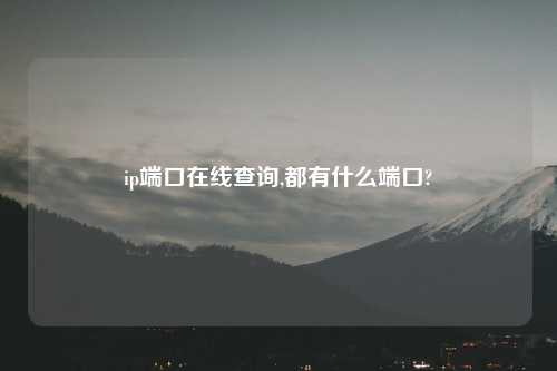 ip端口在线查询,都有什么端口?