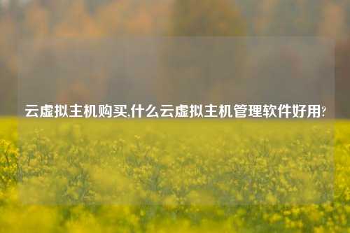 云虚拟主机购买,什么云虚拟主机管理软件好用?