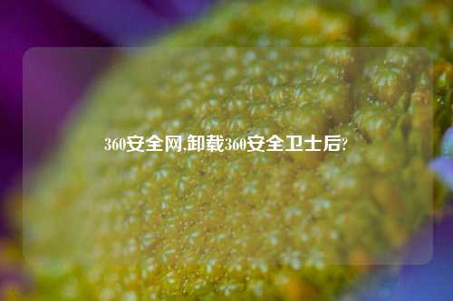 360安全网,卸载360安全卫士后?