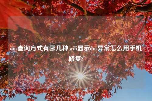 dns查询方式有哪几种,wifi显示dns异常怎么用手机修复?