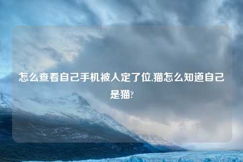 怎么查看自己手机被人定了位,猫怎么知道自己是猫?