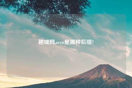 趣域网,accn是哪种后缀?