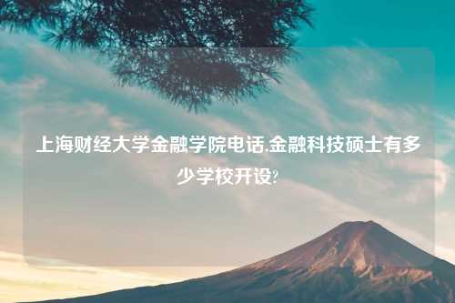 上海财经大学金融学院电话,金融科技硕士有多少学校开设?