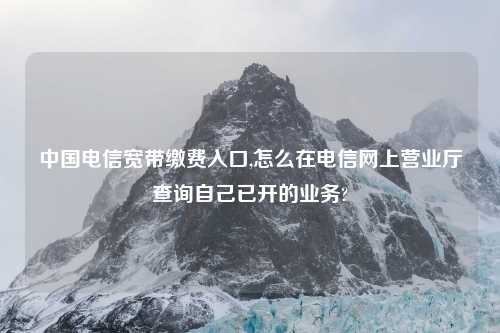 中国电信宽带缴费入口,怎么在电信网上营业厅查询自己已开的业务?