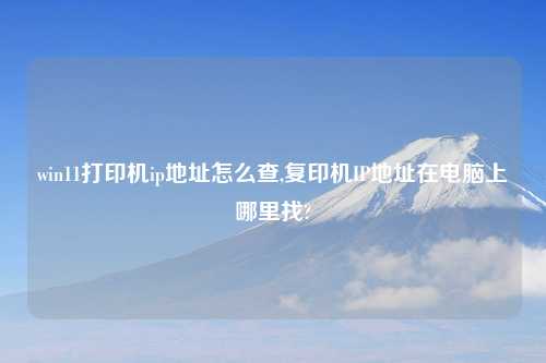 win11打印机ip地址怎么查,复印机IP地址在电脑上哪里找?