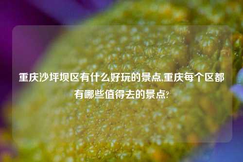 重庆沙坪坝区有什么好玩的景点,重庆每个区都有哪些值得去的景点?