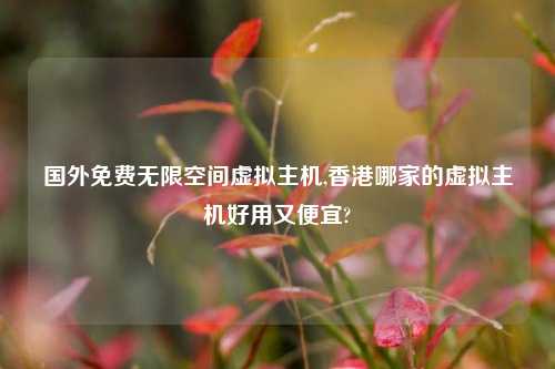 国外免费无限空间虚拟主机,香港哪家的虚拟主机好用又便宜?