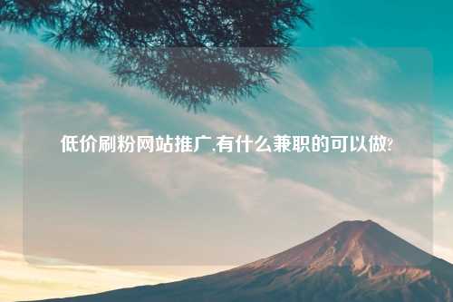 低价刷粉网站推广,有什么兼职的可以做?