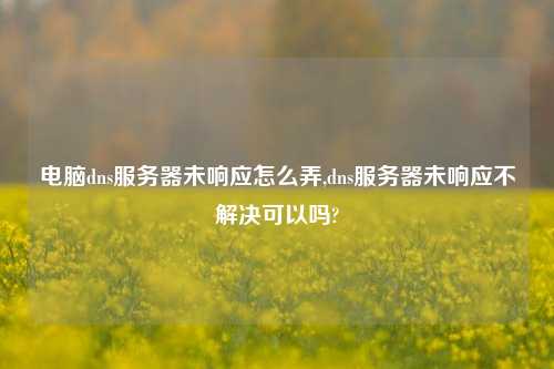 电脑dns服务器未响应怎么弄,dns服务器未响应不解决可以吗?