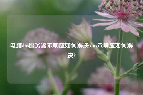 电脑dns服务器未响应如何解决,dns未响应如何解决?