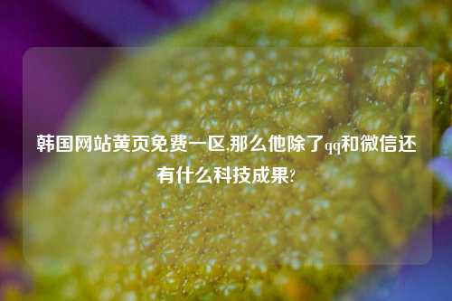 韩国网站黄页免费一区,那么他除了qq和微信还有什么科技成果?