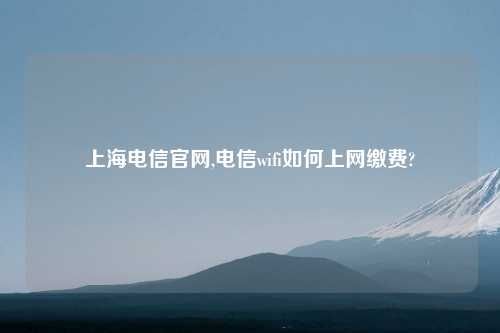 上海电信官网,电信wifi如何上网缴费?