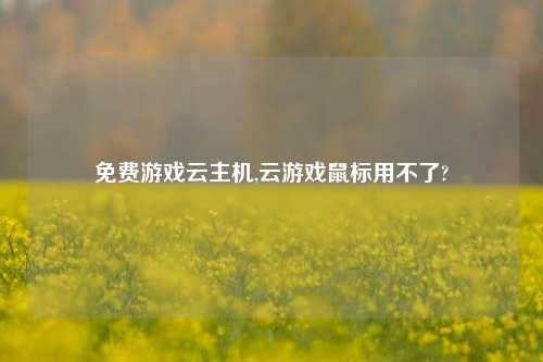 免费游戏云主机,云游戏鼠标用不了?