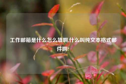 工作邮箱是什么怎么填啊,什么叫纯文本格式邮件啊?