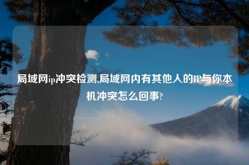 局域网ip冲突检测,局域网内有其他人的IP与你本机冲突怎么回事?