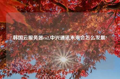 韩国云服务器cn2,中兴通讯未来会怎么发展?
