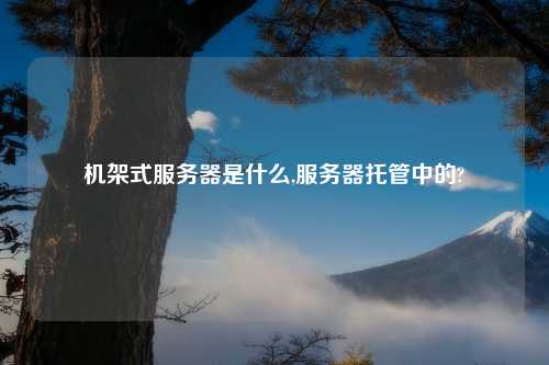 机架式服务器是什么,服务器托管中的?