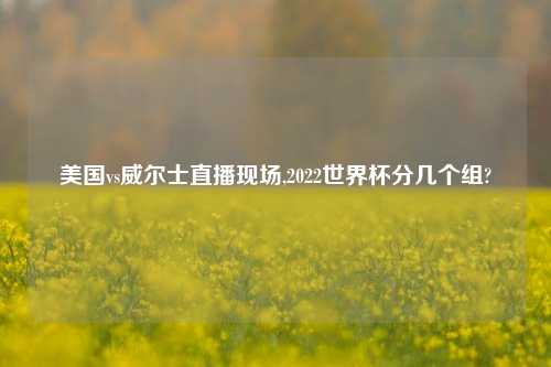 美国vs威尔士直播现场,2022世界杯分几个组?