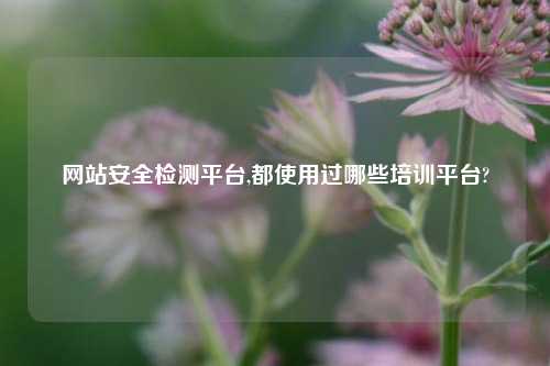 网站安全检测平台,都使用过哪些培训平台?