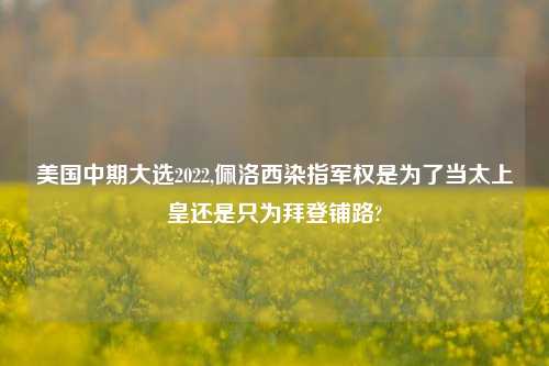 美国中期大选2022,佩洛西染指军权是为了当太上皇还是只为拜登铺路?