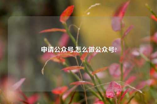 申请公众号,怎么做公众号?