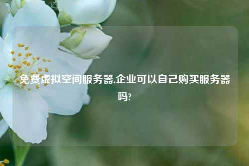 免费虚拟空间服务器,企业可以自己购买服务器吗?