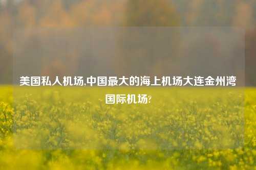 美国私人机场,中国最大的海上机场大连金州湾国际机场?
