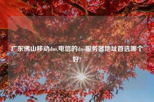 广东佛山移动dns,电信的dns服务器地址首选哪个好?