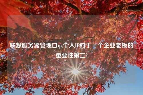 联想服务器管理口ip,个人IP对于一个企业老板的重要性第三?