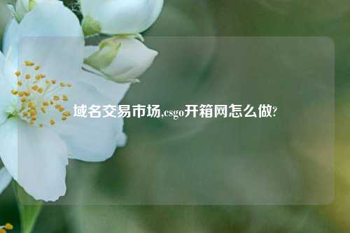 域名交易市场,csgo开箱网怎么做?