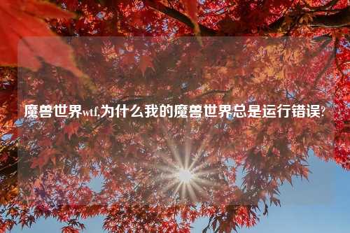 魔兽世界wtf,为什么我的魔兽世界总是运行错误?
