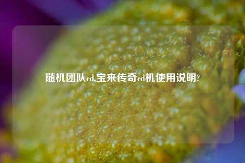 随机团队cd,宝来传奇cd机使用说明?