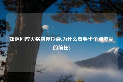 郑恺回应火锅店涉抄袭,为什么看哭半个朋友圈的前任3