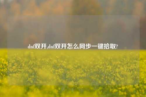 dnf双开,dnf双开怎么同步一键拾取?