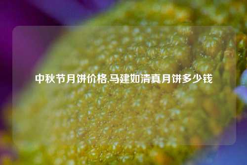 中秋节月饼价格,马建如清真月饼多少钱
