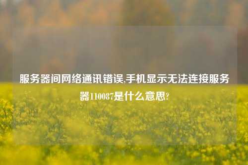 服务器间网络通讯错误,手机显示无法连接服务器110087是什么意思?