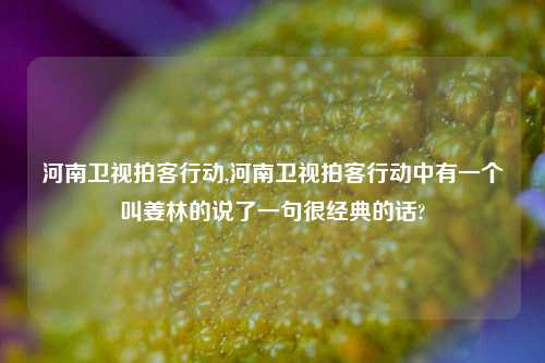 河南卫视拍客行动,河南卫视拍客行动中有一个叫姜林的说了一句很经典的话?