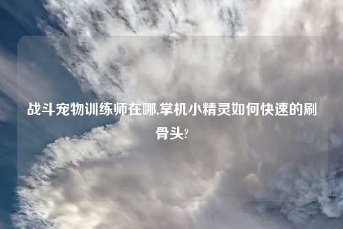 战斗宠物训练师在哪,掌机小精灵如何快速的刷骨头?