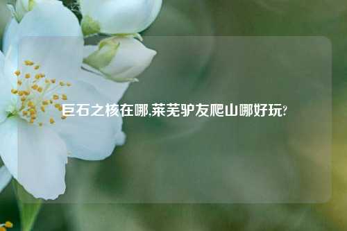 巨石之核在哪,莱芜驴友爬山哪好玩?