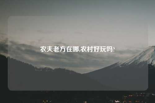农夫老方在哪,农村好玩吗?