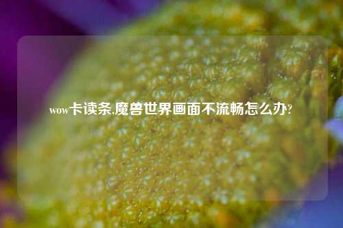 wow卡读条,魔兽世界画面不流畅怎么办?