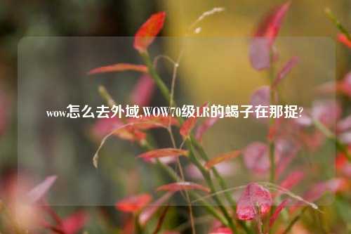 wow怎么去外域,WOW70级LR的蝎子在那捉?