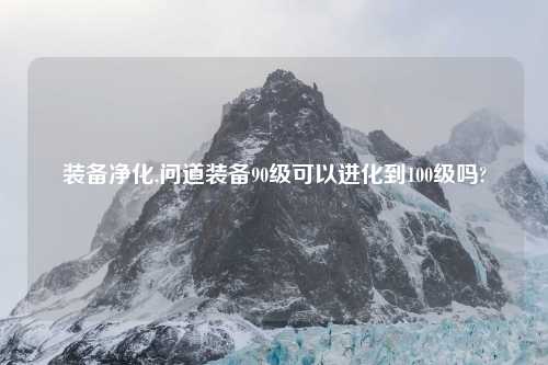 装备净化,问道装备90级可以进化到100级吗?