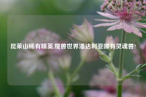 昆莱山稀有精英,魔兽世界潘达利亚哪有灵魂兽?