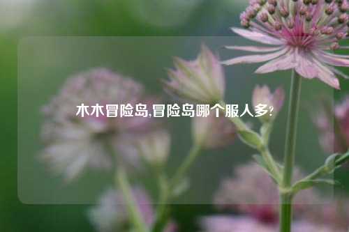 木木冒险岛,冒险岛哪个服人多?