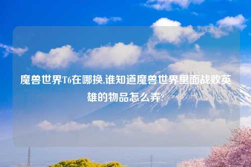 魔兽世界T6在哪换,谁知道魔兽世界里面战败英雄的物品怎么弄?